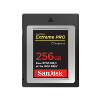 Card de memorie Sandisk 256 GB CFexpress, R1700MB/s, W 1200MB/s